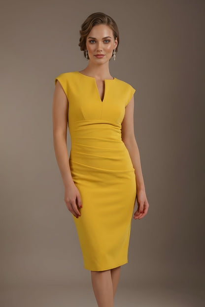 Lydia Sleeveless Pencil Dress