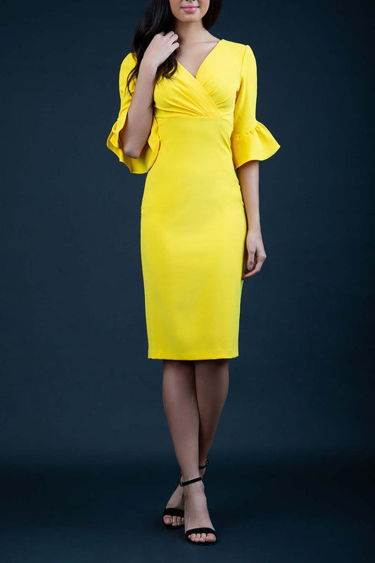Lucida Pencil Dress